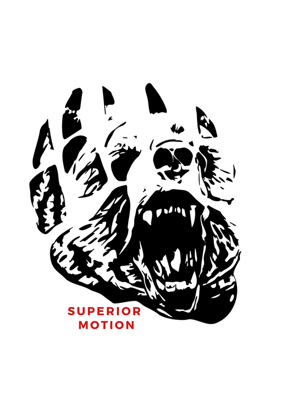 Superior Motion